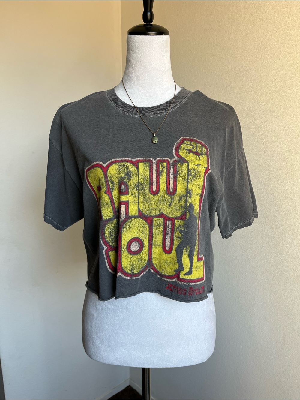 James Brown Raw Soul Graphic Crop Tee M/L